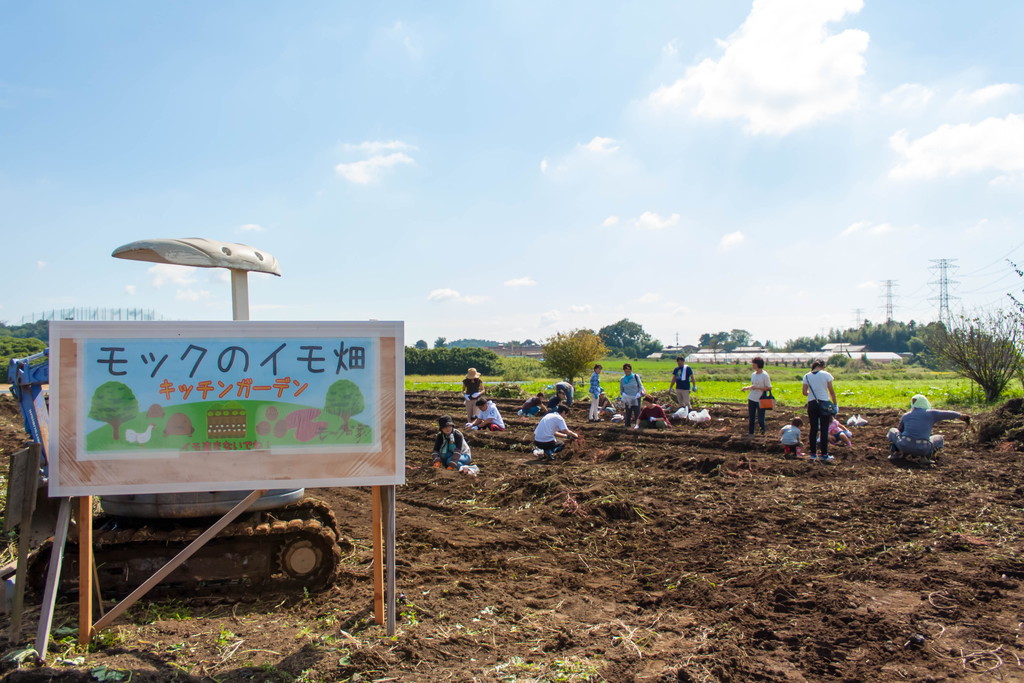 10月になりました！